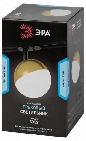 Светильник на штанге Эра  TR42-GX53 BS в Троицке - troick.ok-mebel.com | фото 6
