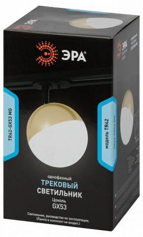 Светильник на штанге Эра  TR42-GX53 MG в Троицке - troick.ok-mebel.com | фото 6