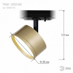 Светильник на штанге Эра  TR48 - GX53 MG в Троицке - troick.ok-mebel.com | фото 4