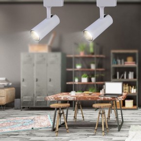 Светильник на штанге Эра  TR5-20 COB WH в Троицке - troick.ok-mebel.com | фото 4