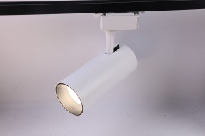 Светильник на штанге Эра  TR5-30 COB WH в Троицке - troick.ok-mebel.com | фото 2