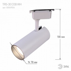 Светильник на штанге Эра  TR5-30 COB WH в Троицке - troick.ok-mebel.com | фото 6