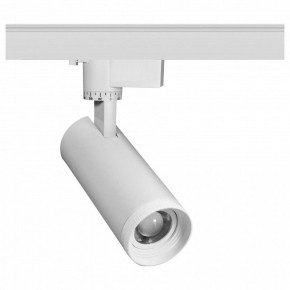 Светильник на штанге Эра  TR59 - 2030 WH в Троицке - troick.ok-mebel.com | фото