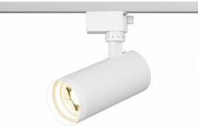 Светильник на штанге Эра  TR59 - 2040 WH в Троицке - troick.ok-mebel.com | фото 5