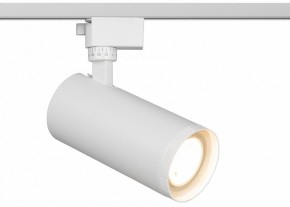 Светильник на штанге Эра  TR59 - 3030 WH в Троицке - troick.ok-mebel.com | фото