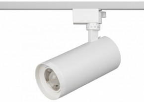 Светильник на штанге Эра  TR59 - 3030 WH в Троицке - troick.ok-mebel.com | фото 2