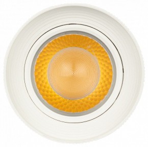 Светильник на штанге Эра  TR59 - 3030 WH в Троицке - troick.ok-mebel.com | фото 3