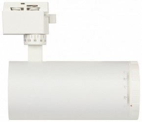 Светильник на штанге Эра  TR59 - 3030 WH в Троицке - troick.ok-mebel.com | фото 4