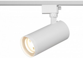 Светильник на штанге Эра  TR59 - 3030 WH в Троицке - troick.ok-mebel.com | фото 5
