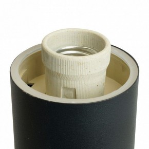Светильник на штанге Feron DH041-B  RAL color 9005 51522 в Троицке - troick.ok-mebel.com | фото 8