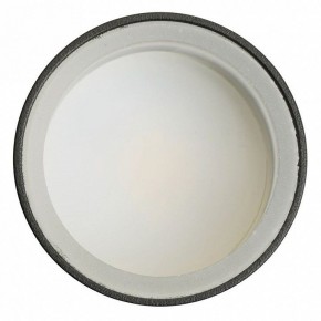 Светильник на штанге Feron ML1001 51371 в Троицке - troick.ok-mebel.com | фото 4