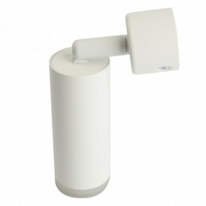 Светильник на штанге Feron ML1021 51390 в Троицке - troick.ok-mebel.com | фото 3
