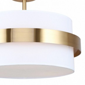 Светильник на штанге Freya Bride FR5367CL-03BS в Троицке - troick.ok-mebel.com | фото 3