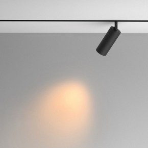 Светильник на штанге Maytoni Artisan TR097-2-12W2.7K-M-BB в Троицке - troick.ok-mebel.com | фото 4