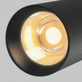Светильник на штанге Maytoni Artisan TR097-2-12W2.7K-M-BB в Троицке - troick.ok-mebel.com | фото 9