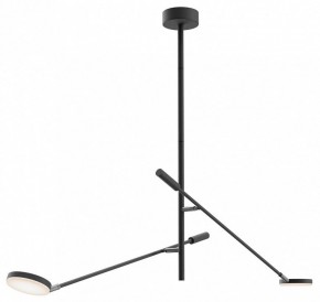 Светильник на штанге Maytoni Fad MOD070CL-L15B3K1 в Троицке - troick.ok-mebel.com | фото