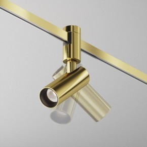 Светильник на штанге Maytoni Focus Led TR144-1-5W4K-W-BS в Троицке - troick.ok-mebel.com | фото 2