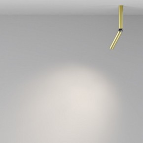 Светильник на штанге Maytoni Focus T C142CL-6W4K-BS в Троицке - troick.ok-mebel.com | фото 4