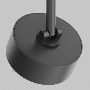 Светильник на штанге Maytoni Lens TR217-2-15W3K-B в Троицке - troick.ok-mebel.com | фото 11