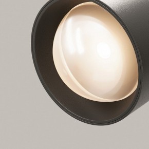 Светильник на штанге Maytoni Lens TR217-2-15W3K-B в Троицке - troick.ok-mebel.com | фото 12