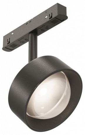 Светильник на штанге Maytoni Lens TR217-2-15W4K-B в Троицке - troick.ok-mebel.com | фото