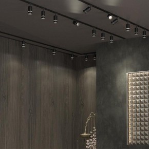 Светильник на штанге Novotech Elina 370777 в Троицке - troick.ok-mebel.com | фото 4