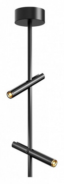 Светильник на штанге ST-Luce LILT SL6210.403.02 в Троицке - troick.ok-mebel.com | фото