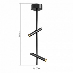 Светильник на штанге ST-Luce LILT SL6210.403.02 в Троицке - troick.ok-mebel.com | фото 3