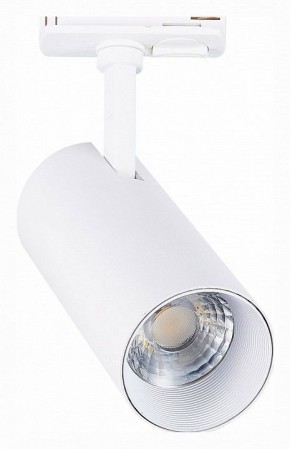 Светильник на штанге ST-Luce Mono ST350.546.20.36 в Троицке - troick.ok-mebel.com | фото