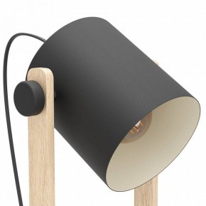 Торшер Eglo HORNWOOD 43521 в Троицке - troick.ok-mebel.com | фото 4