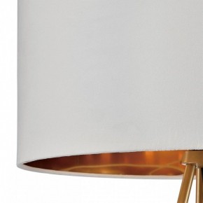 Торшер Lumion Tapioka 8077/1F в Троицке - troick.ok-mebel.com | фото 6