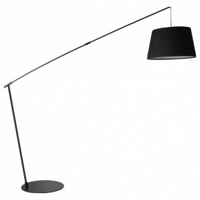 Торшер Lussole Wrangell LSP-0505 в Троицке - troick.ok-mebel.com | фото