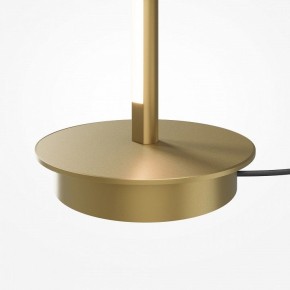 Торшер Maytoni Thin MOD395FL-L28BS3K в Троицке - troick.ok-mebel.com | фото 7