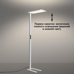 Торшер Novotech STUDI 359545 в Троицке - troick.ok-mebel.com | фото 5