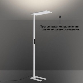 Торшер Novotech STUDI 359545 в Троицке - troick.ok-mebel.com | фото 6