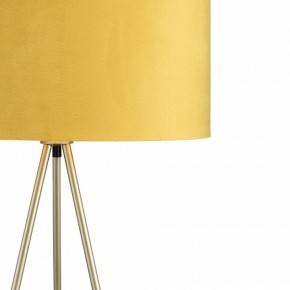 Торшер ST-Luce FUEGO SL6242.205.01 в Троицке - troick.ok-mebel.com | фото 5