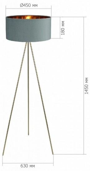 Торшер ST-Luce FUEGO SL6242.705.01 в Троицке - troick.ok-mebel.com | фото 4