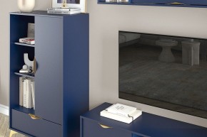 Тумба комбинированная Челси 469.02 в Троицке - troick.ok-mebel.com | фото 3