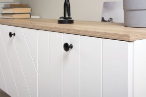 Тумба под ТВ 13.267.03 в Троицке - troick.ok-mebel.com | фото 4
