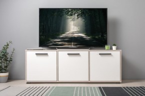 Тумба под ТВ 13.283.02 Винтаж в Троицке - troick.ok-mebel.com | фото 3