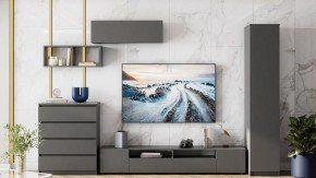 Тумба под ТВ Сибити в Троицке - troick.ok-mebel.com | фото 3