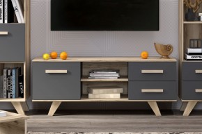Тумба под ТВ Вега Скандинавия в Троицке - troick.ok-mebel.com | фото 7