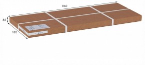 Вешалка гардеробная Стойка высокая в Троицке - troick.ok-mebel.com | фото 9