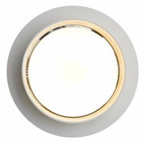 Встраиваемый светильник Feron DL502 51089 в Троицке - troick.ok-mebel.com | фото 5