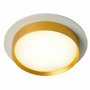 Встраиваемый светильник Feron DL507 51354 в Троицке - troick.ok-mebel.com | фото 3