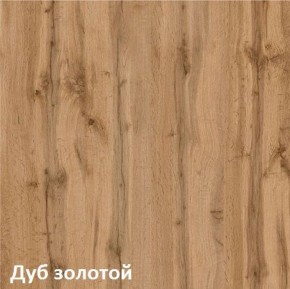 Вуди Шкаф для одежды 13.138 в Троицке - troick.ok-mebel.com | фото 4